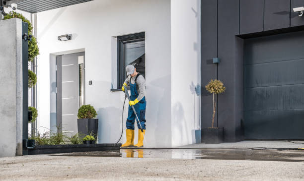 Animal Enclosure Cleaning in Leon Valley, TX